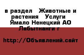  в раздел : Животные и растения » Услуги . Ямало-Ненецкий АО,Лабытнанги г.